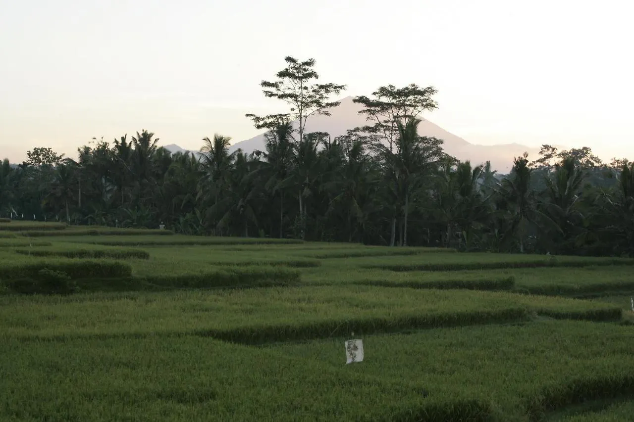 Viceroy Bali Hotel Ubud  Resort